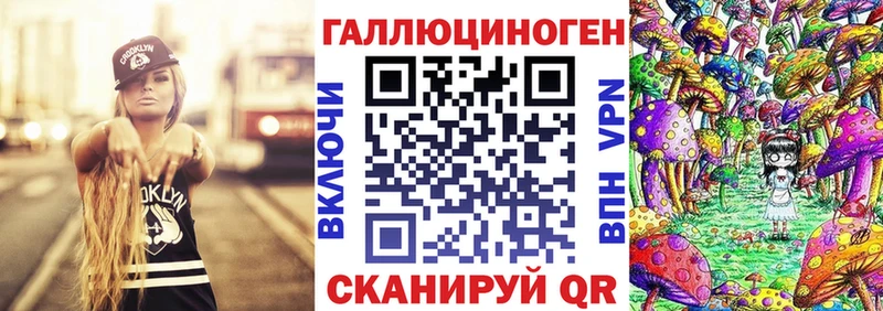 магазин продажи наркотиков  Жердевка  Галлюциногенные грибы мухоморы 